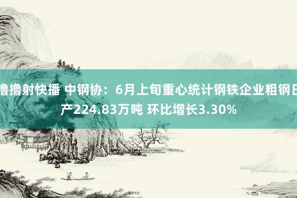 撸撸射快播 中钢协：6月上旬重心统计钢铁企业粗钢日产224.83万吨 环比增长3.30%