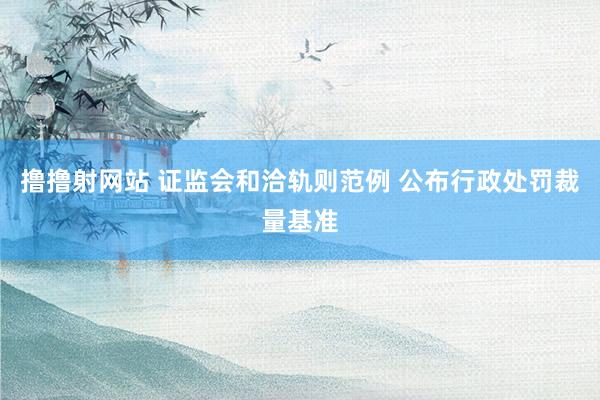 撸撸射网站 证监会和洽轨则范例 公布行政处罚裁量基准