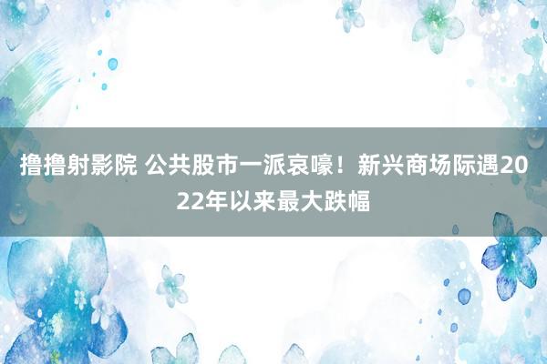 撸撸射影院 公共股市一派哀嚎！新兴商场际遇2022年以来最大跌幅