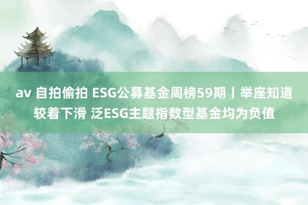 av 自拍偷拍 ESG公募基金周榜59期丨举座知道较着下滑 泛ESG主题指数型基金均为负值
