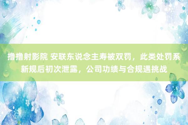 撸撸射影院 安联东说念主寿被双罚，此类处罚系新规后初次泄露，公司功绩与合规遇挑战