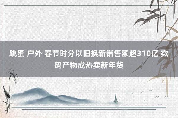 跳蛋 户外 春节时分以旧换新销售额超310亿 数码产物成热卖新年货