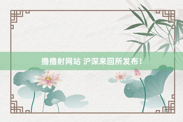 撸撸射网站 沪深来回所发布！