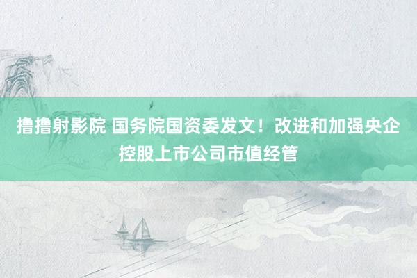 撸撸射影院 国务院国资委发文！改进和加强央企控股上市公司市值经管
