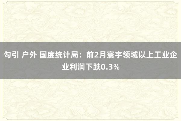 勾引 户外 国度统计局：前2月寰宇领域以上工业企业利润下跌0.3%