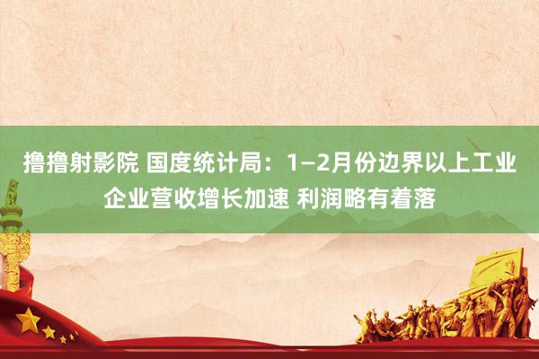 撸撸射影院 国度统计局：1—2月份边界以上工业企业营收增长加速 利润略有着落